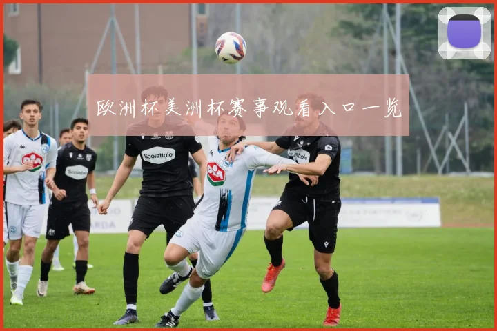 欧洲杯美洲杯赛事观看入口一览