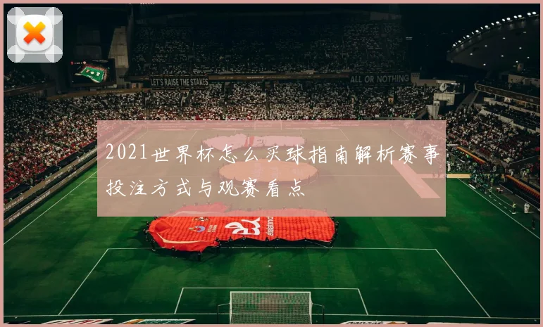 2021世界杯怎么买球指南解析赛事投注方式与观赛看点